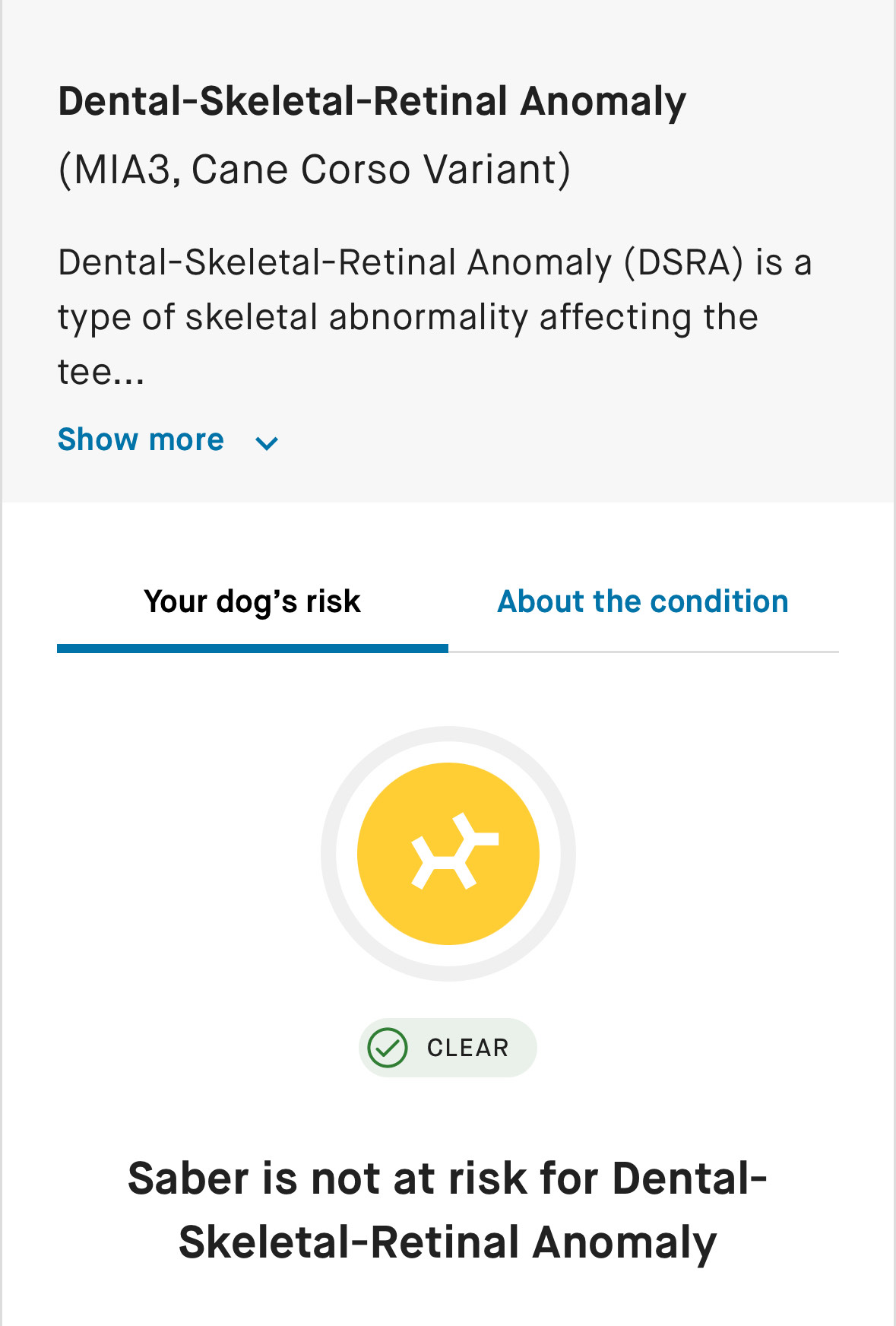 Negative DSRA Cane Corso DNA Test